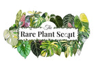 Rare Plant Scout